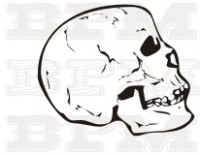 /album/lebky/lebky-hlavy-75-jpg/